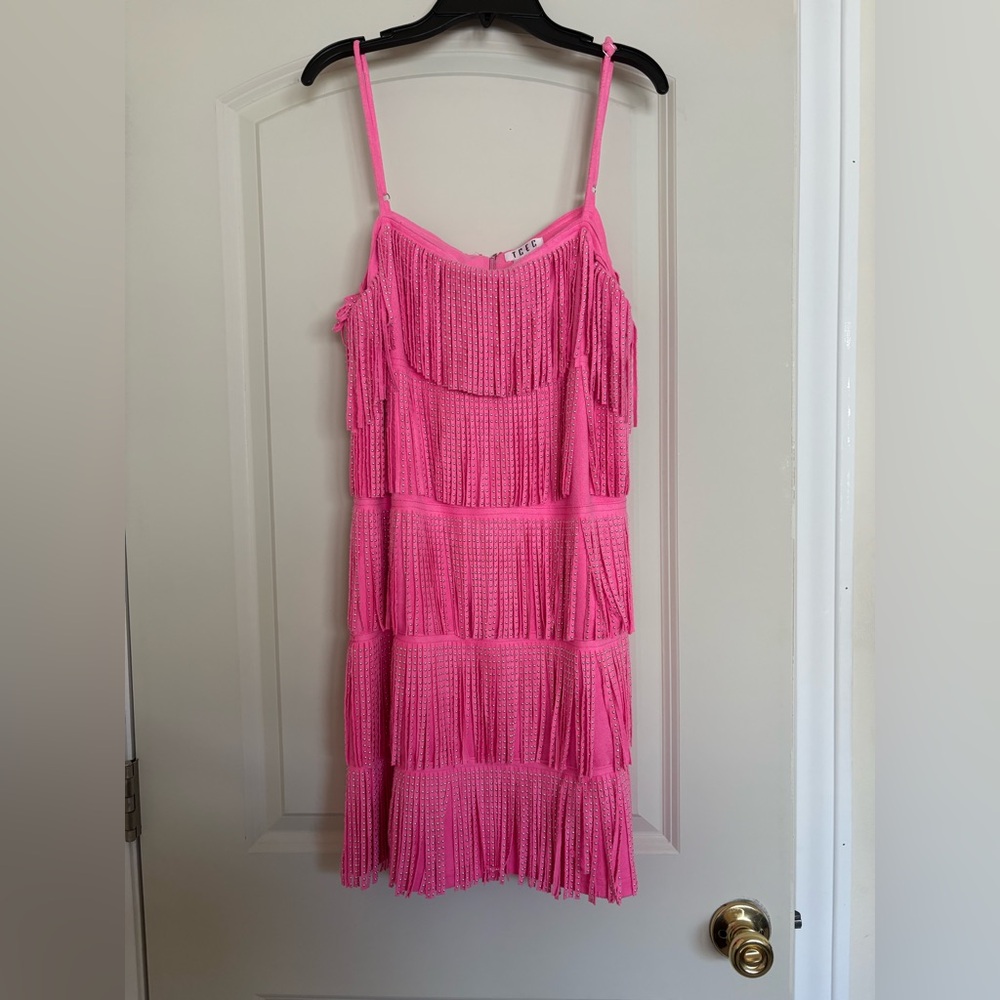 TCEC Pink Fringe Mini Dress